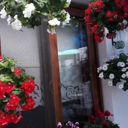 Sığacık Teos Butik Siğacık